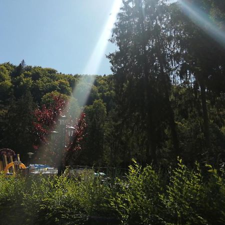 Apartamentul Alfa Slănic-Moldova Buitenkant foto