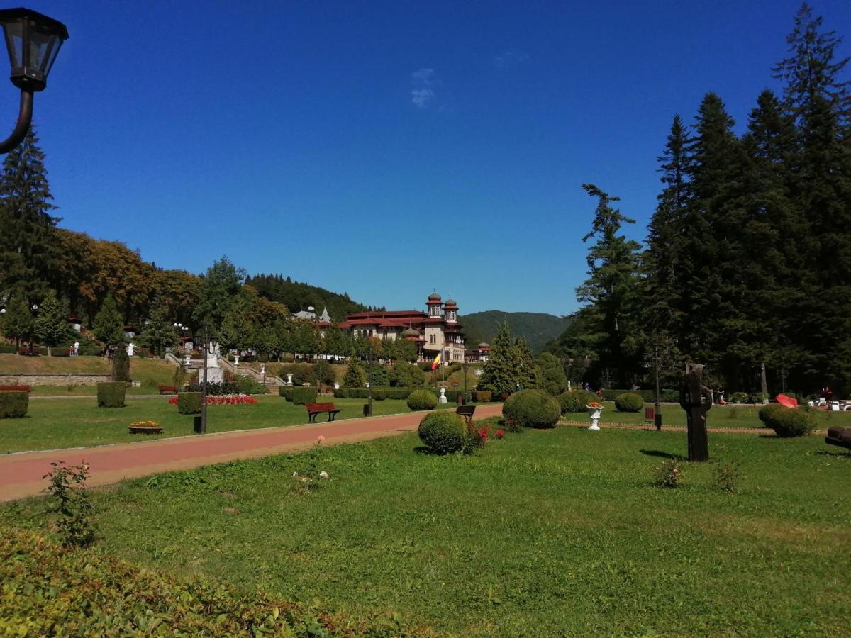 Apartamentul Alfa Slănic-Moldova Buitenkant foto