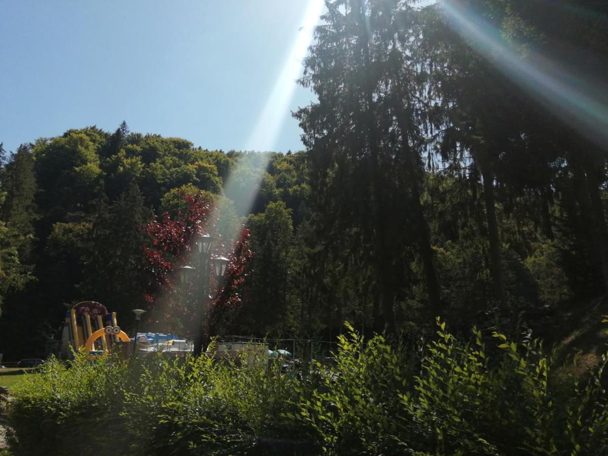 Apartamentul Alfa Slănic-Moldova Buitenkant foto