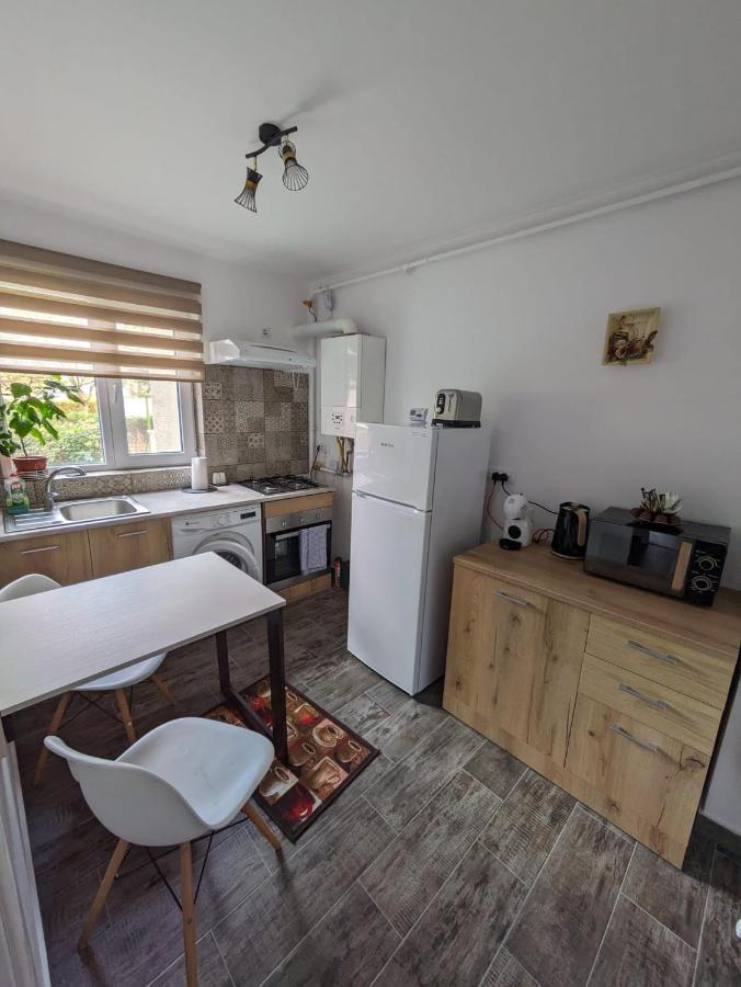 Apartamentul Alfa Slănic-Moldova Buitenkant foto